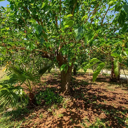 Giardini Del Cavaliere Porto Cesareo